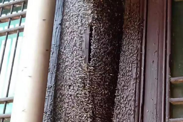 1586583137376189.jpg 15846053986740.jpg