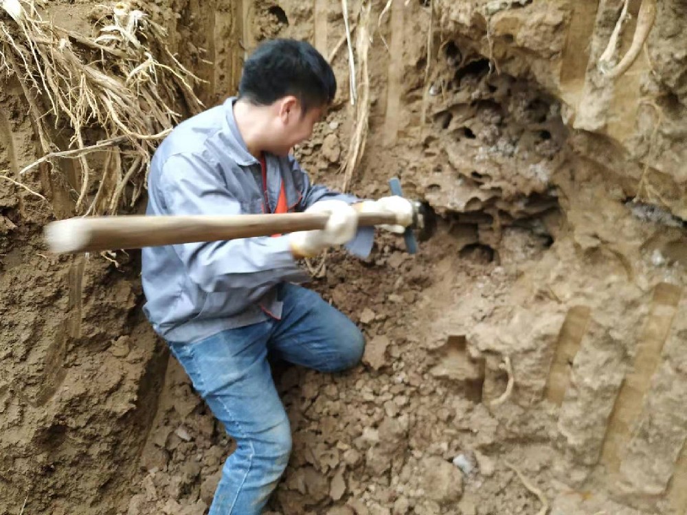 挖白蚁现场